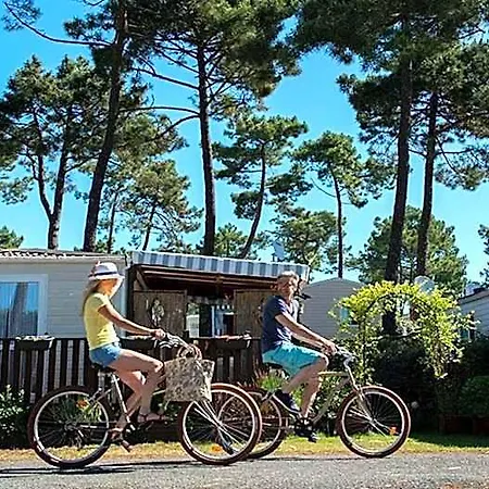 Les Dunes De Contis- Landes